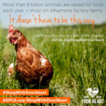 Take the pledge! Farm animals & your health depends on it. #ShopWithYourHeart